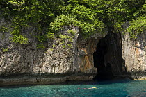 Snorkeler near limestone caves, Vava'u Islands, Tonga, Melanesia, 2007
