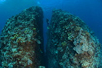 Massive Split rock with diver, Tonga, Melanesia, 2007
