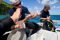 Charlotte Watson, Chris Glasby and Magda Blazewicz pick out polychaete worms and crustaceans collected from the sand trawler collector, Coral Reef census, Lizard Island, Queensland, Australia, April 2...