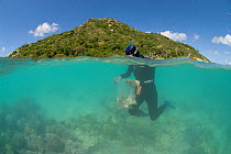 Charlotte Watson snorkels down to collect sand which may contain polychaete worms, Coral Reef census, Lizard Island, Queensland, Australia, April 2008. Model released
