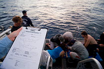 Richard Fitzpatrick's research on sharks are data documented in these sheets as part of the Coral Reef census, Lizard Island, Queensland, Australia, April 2008