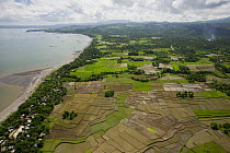 Aerial view of rice paddy fields and coast, Ocampo, Camarines Sur, Luzon, Philippines 2008