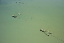 Aerial view of traditional fishing nets, Camarines Sur, Pacific Coast, Luzon, Philippines 2008