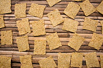Dried blocks of Sinarapan / Tabios fish {Mistichthys luzonensis} the smallest edible fish in the world, Camarines Sur, Luzon, Philippines 2008