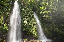 Itbog Twin Falls, 60ft high, Lake Buhi, Camarines Sur, Luzon, Philippines 2008