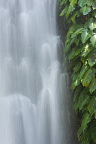 Close up of Itbog Twin Falls, 60ft high, Lake Buhi, Camarines Sur, Luzon, Philippines 2008