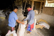 Milling / husking the harvested threshed rice. The husk is striped from the rice by passing the rice through two spinning rubber roles, one roll spinning faster than the other. Camarines Sur, Luzon, P...