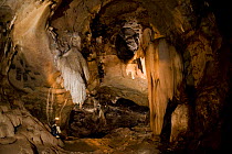 Jovi Villareal inside a massive illuminated cave in Caramoan, Caramines Sur, Luzon, Philippines 2008