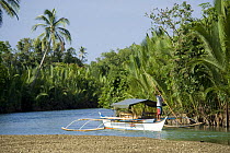 Outrigger boat / banca navigating a river lined with Nipa palms {Nypa fruticans} Camarines Sur, Luzon, Philippines 2008.