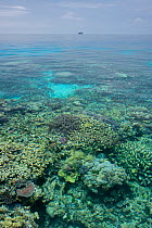 Looking down through shallow water at Coral reef in the far northern outer Great Barrier Reef on an exceptionally calm day, Queensland, Australia.
