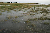 Gibralter Point NNR, flooded path at spring high tide, The Wash, Lincolnshire Coast, UK