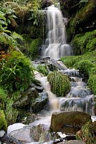 Waterfall, Kinder Scout, Peak District NP, Derbyshire, UK