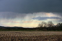 Rain clouds over winter stubble, maize field, Somerset, UK, 2008