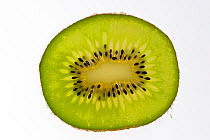 Cross-section of Chinese Gooseberry / Kiwi fruit (Actinidia chinensis) showing fruit flesh and seeds, native to China, New Zealand