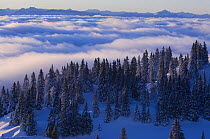 Sea of clouds over the Jura mountains, Switzerland, January 2009