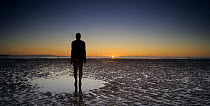 One of Anthony Gormley's 'Another Place' sculptures on Crosby Beach at sunset, with offshore windfarm in the distance, Liverpool, UK, October 2008