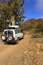 Jeep on Brachina Gorge Geological Trail, Flinders Ranges National Park, South Australia, June 2007. The Brachina Gorge Geological Trail is a driving tour moving forward through geological time.