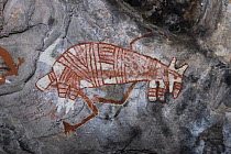 Aboriginal rock art painting of marsupial at Main Art Site, Mt Borradaile,  Arnhem Land, Northern Territory, Australia