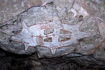Aboriginal rock art painting of fish at Main Art Site, Mt Borradaile,  Arnhem Land, Northern Territory, Australia