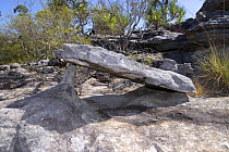 The Main Art Site at Mount Borradaile in Arnhem Land, Northern Territory, Australia