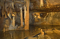Stalagmites, stalactites, shawls and flowstone in limestone caves, Royal Cave, Buchan Caves Reserve, Victoria, Australia 2008 Property Release: No Restrictions: Editorial use only (not commercial us...