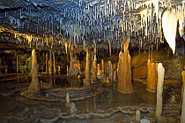 Stalagmites, stalactites, shawls and flowstone in limestone caves, Royal Cave, Buchan Caves Reserve, Victoria, Australia, 2008 Property Release: No Restrictions: Editorial use only (not commercial u...