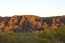 The Beehives, Purnululu, Bungle Bungle Range National Park, Western Australia, September 2006