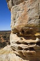 Chambers Pillar Historical Reserve, Simpson Desert, Northern Territory, Australia.  2007 Note: Chambers Pillar was used as a navigation landmark by many of Australia's early explorers. John Ross carv...