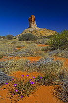 Chambers Pillar Historical Reserve, Simpson Desert, Northern Territory, Australia. 2007