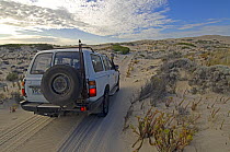 Jeep travelling along sandy track in Coffin Bay National Park, South Australia, Spring 2007