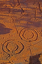 Concentric circles at Ewaninga Rock Carvings Conservation Reserve, South of Alice Springs, Northern Territory, Australia