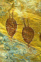 Aboriginal cave paintings at Death Adder art site, one of the Quinkan rock art sites, Jowalbinna, Cape York, Queensland, Australia  Restrictions: Editorial use only