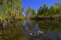 King Edward River, The Kimberley, Western Australia, September 2007