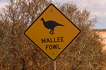 A sign warns drivers to watch for passing Malle fowl; one of the species that has been reintroduced to the park under Project Eden, Peron Road, Francois Peron National Park, Western Australia