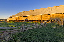 The 1869 Mungo Woolshed, Mungo National Park, Willandra Lakes Region World Heritage Area, New South Wales, Australia, 2007