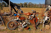 Seldom Seen, along the Snowy River Road, Victoria, Australia 2007. The last place heading north where one may buy fuel. The owner has an unusual collection of skeletal matter on display next to the pu...