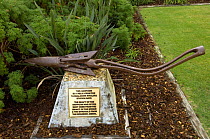A whaling harpoon on display at Tangalooma Resort on Moreton Island, Queensland, Australia