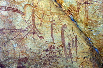 Bradshaw rock art / Gwion Gwion, Northern Kimberley region and the Mitchell Plateau, Western Australia
