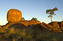 The Devils Marbles, a series of sandstone rocks perched at seemingly impossible angles, sacred to the regional Aboriginal people.  Devils Marbles Conservation Park, Northern Territory, Australia, July...