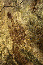 Quinkan-style Aboriginal rock art at the Honeymoon Aboriginal Rock Art Shelter, Jowabinna Rock Art Safari Camp, Cape York, Queensland, Australia .