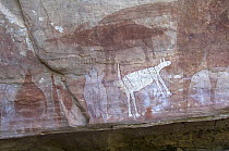 Quinkan-style Aboriginal rock art at the Wallaroo Aboriginal Rock Art Shelter, Jowabinna Rock Art Safari Camp, Cape York, Queensland, Australia