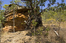 Sandstone rock face of the Warning Rock Aboriginal Rock Art Shelter, Jowabinna Rock Art Safari Camp, Cape York, Queensland, Australia