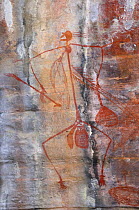 Aboriginal Xray-style art at the Ubirr Rock Art Shelter, Kakadu National Park, Northern Territory, Australia Restrictions: Editorial use only