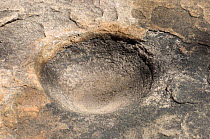 Grinding hole used in the creation of Aboriginal Xray-style art at the Ubirr Rock Art Shelter, Kakadu National Park, Northern Territory, Australia Restrictions: Editorial use only