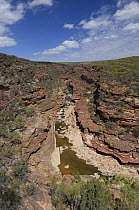 Sandstone gorge and Murchison river from the Z Bend lookout, Kalbarri National Park, Western Australia