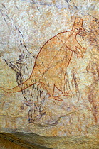 Wandjina figures and Bradshaw rock art, Northern Kimberley region and the Mitchell Plateau, Western Australia