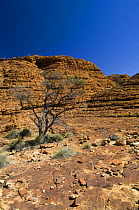 King Canyon, Watarrka National Park, Northern Territory, Australia, August 2007