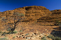 King Canyon, Watarrka National Park, Northern Territory, Australia, August 2007