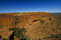 Sandstone gorge of King Canyon, Watarrka National Park, Northern Territory, Australia, August 2007