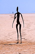 Fifty-one carbonised statues, rendered from full body scans of the citizens of Menzies, now inhabit the dried salt bed of Lake Ballard. The statues were created by Antony Gormley for Perth's 2003 Arts...